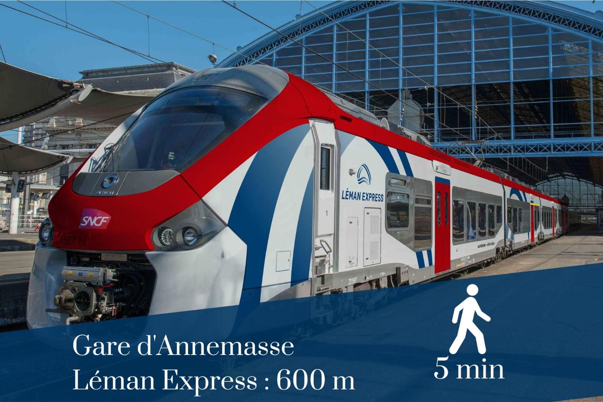 Homey Forest - Hypercentre - Proche Gare Et Tram - Wifi & Netflix Annemasse Exteriér fotografie